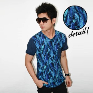 Blue Shining Feather